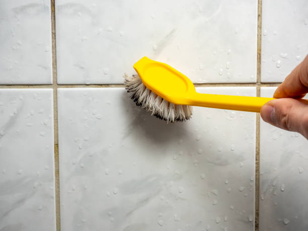 Best Black Mold Remediation in East Orange, NJ